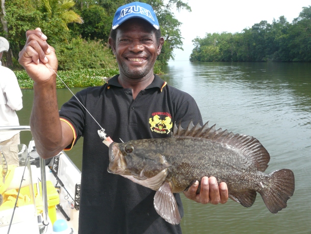 Fish Facts: White spotted grouper